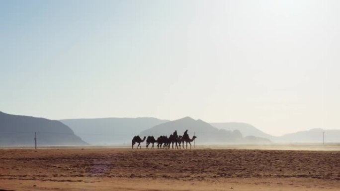 约旦瓦迪朗姆酒的骆驼商队