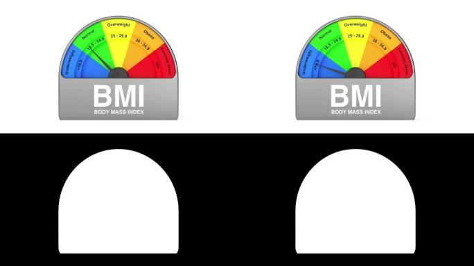 4k分辨率视频: BMI或体重指数标尺仪表表盘标尺图标在带有Alpha哑光的白色背景上显示不同的体重