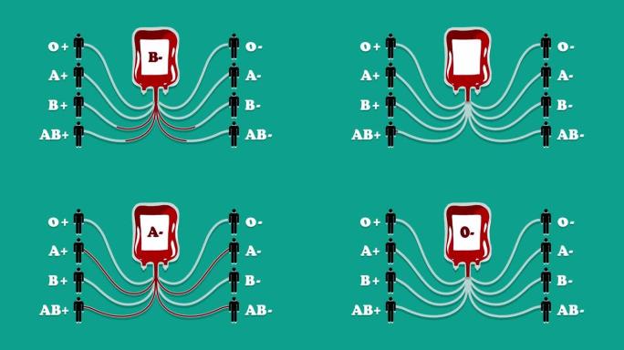 4k献血动画与所有可能的血型组合