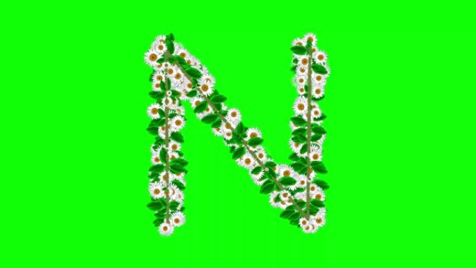 绿色屏幕背景上有雏菊花的英语字母N