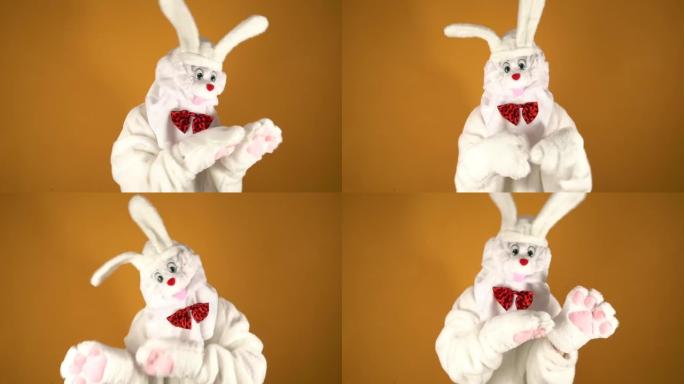 白兔。红色蝴蝶结的复活节兔子。