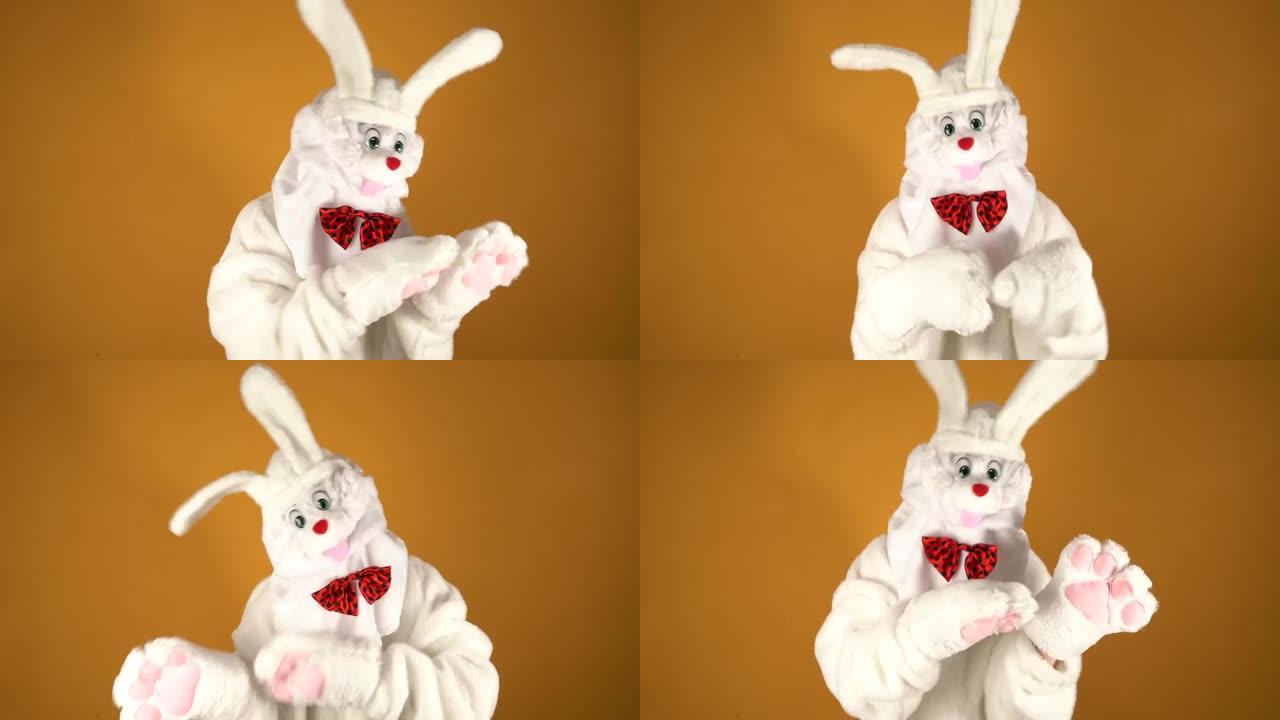 白兔。红色蝴蝶结的复活节兔子。