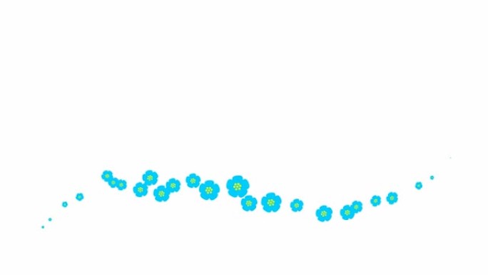 动画蓝色美丽的花朵从左到右飞行。循环视频。春天的概念。白色背景上的一朵飞花。