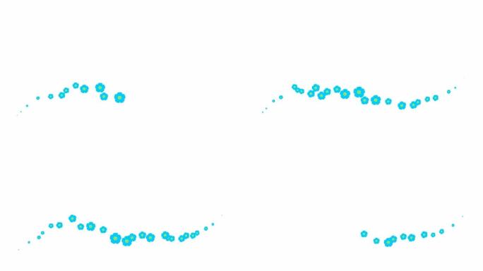动画蓝色美丽的花朵从左到右飞行。循环视频。春天的概念。白色背景上的一朵飞花。