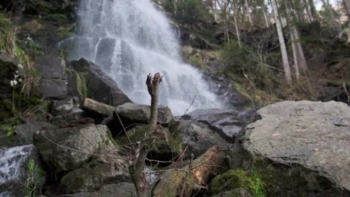 森林中一个小瀑布的特写视图