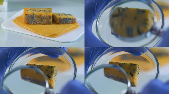 通过放大镜对奶酪成型的专业检查程度，质量控制