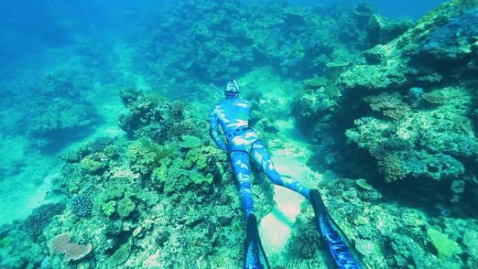 潜水员用长矛枪在清澈的蓝色海水中寻找珊瑚礁上的鱼