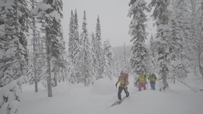 一群滑雪者在偏远地区的山上巡回演出