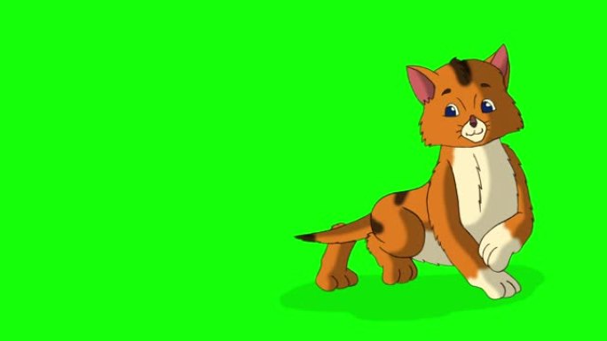小红虎斑猫拥抱色度键高清