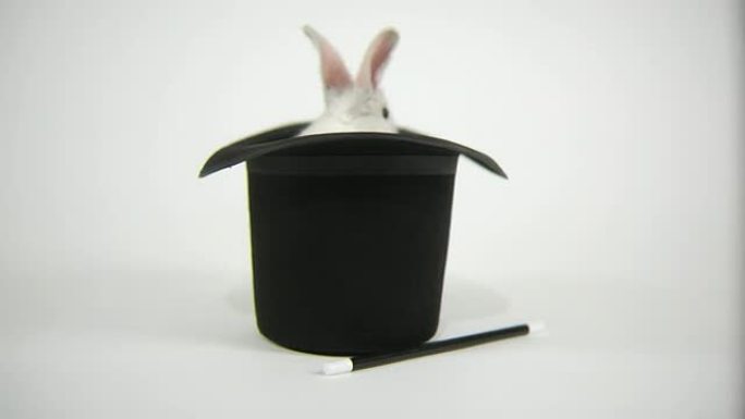 兔子从魔术师的帽子里跳出来