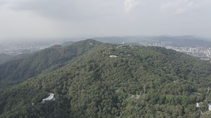 广东省广州白云山顶航拍森林茂盛树林风吹