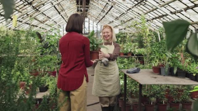 开朗的女人在温室里买植物