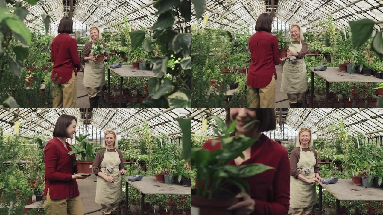 开朗的女人在温室里买植物
