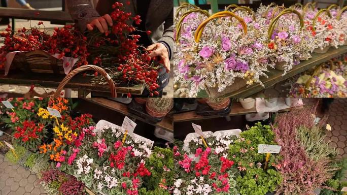 美丽的花束站在市场柜台，鲜花和植物，花店