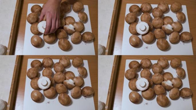 糖果商将香菇棉花糖撒上可可粉。手工制作
