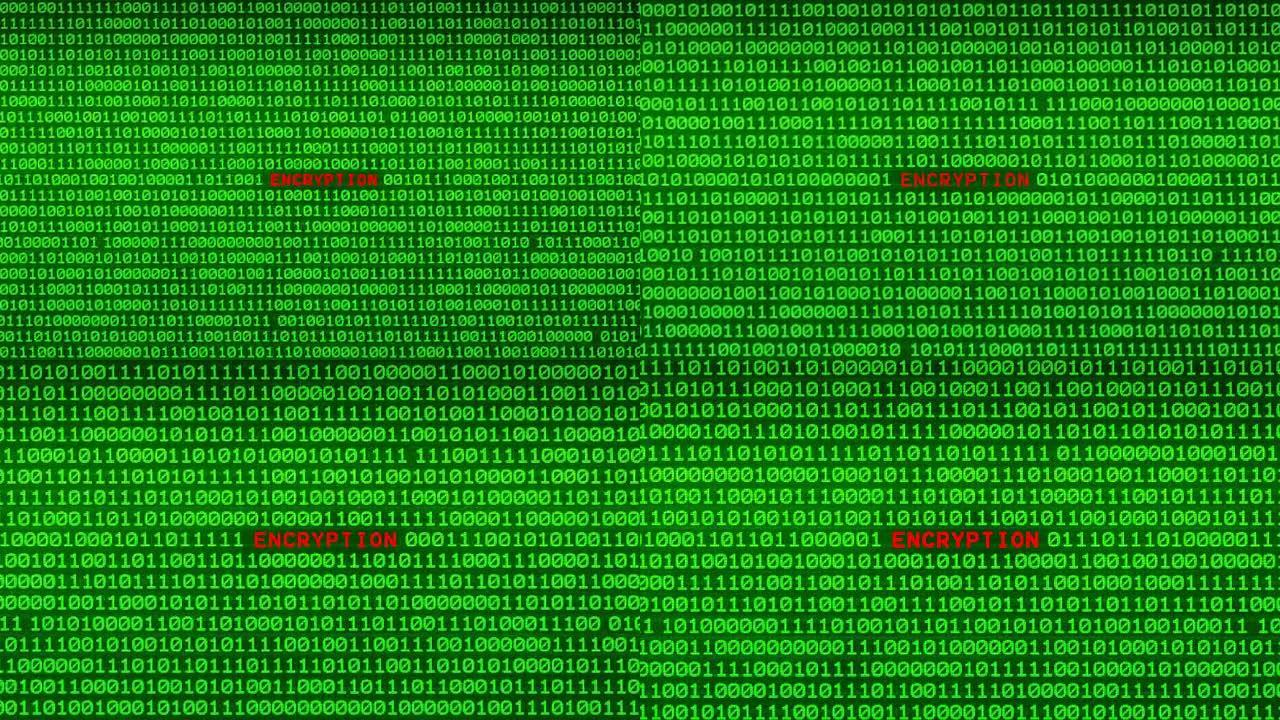 随机二进制数据矩阵背景之间绿色二进制代码墙上的加密字揭示
