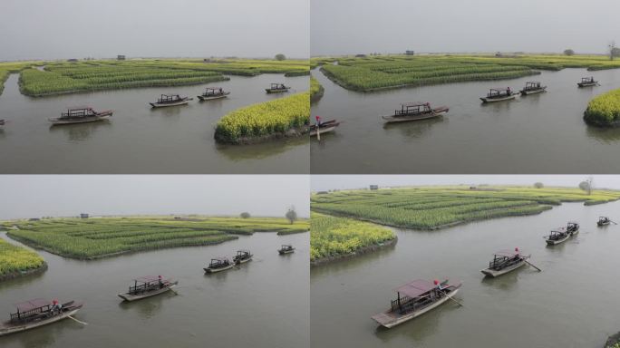 千垛菜花景区坐船3