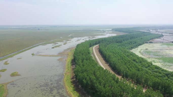 仙桃沙湖湿地