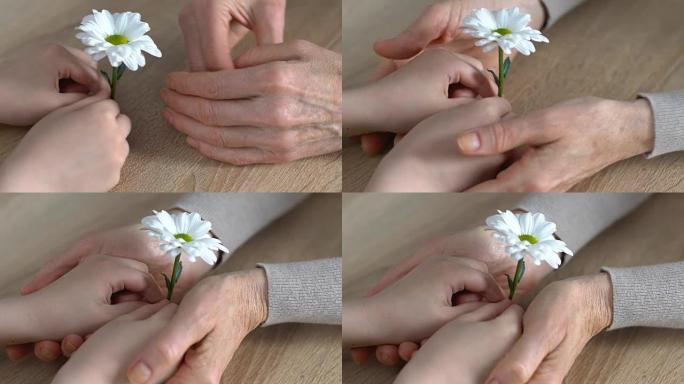 温柔颤抖的老奶奶握着孙子的小手