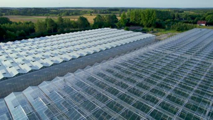 现代温室鸟瞰图。在温室、农业工业中种植有机蔬菜。大型工业技术温室，带蔬菜的透明玻璃屋顶。