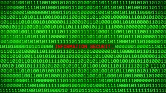 随机二进制数据矩阵背景之间的绿色二进制代码墙上的信息安全字揭示