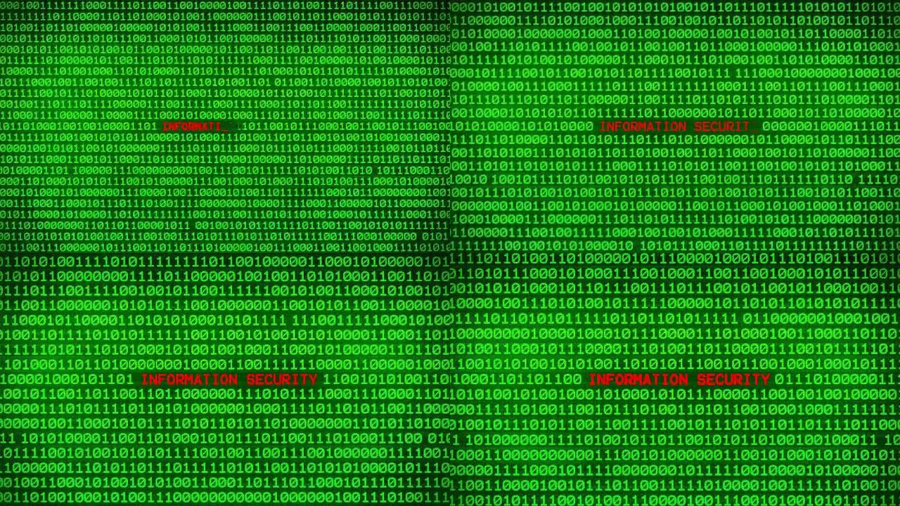 随机二进制数据矩阵背景之间的绿色二进制代码墙上的信息安全字揭示