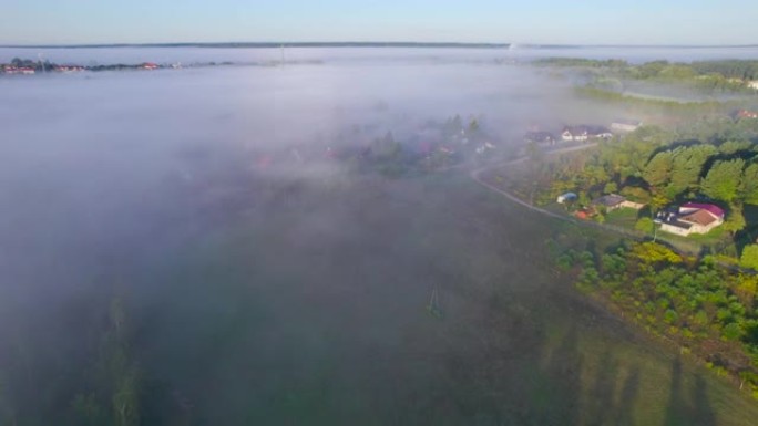波兰雾蒙蒙的早晨村庄的风景鸟瞰图。令人惊叹的自然景观美妙的早晨日出。阳光穿透树木的树叶雾。清晨的雾在