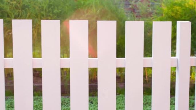 在一个阳光明媚的夏日，花园床后面的白色木栅栏特写