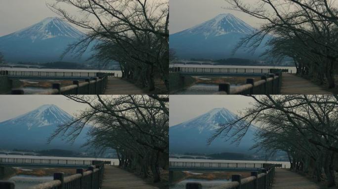 来自川口湖的富士山