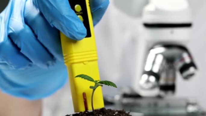 科学家在实验室用测试仪在显微镜下对植物进行植物病理学测试