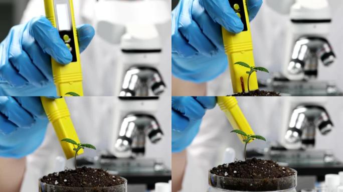 科学家在实验室用测试仪在显微镜下对植物进行植物病理学测试