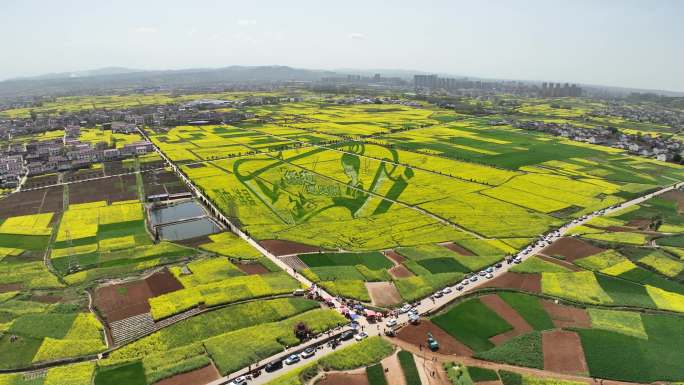 4k高清汉中洋县油菜花海