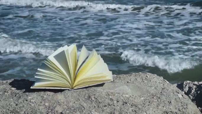 风翻笔记本页在海上背景