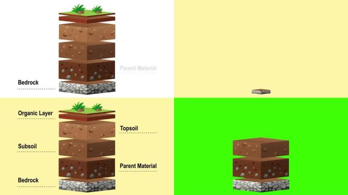 关于土壤层及其特征和名称的动画指南