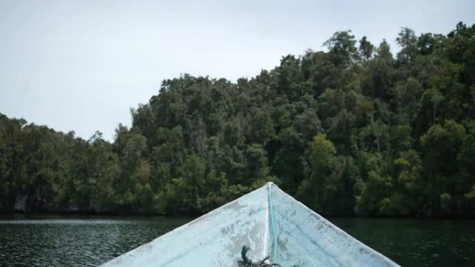 在热带水域中看到一艘小船的前部，背景是茂密的树叶