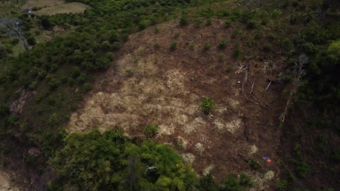 在越南南部，Phuoc Bingh国家公园的森林砍伐过程中，干烧的土地