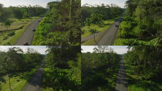 探索美丽的热带雨林的心脏在沥青街上行驶。在蜿蜒穿过丛林的街道上行驶的汽车的鸟瞰图