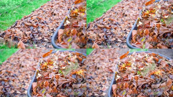 秋天的花园床散落着落叶。干燥树叶的全花园独轮车，平滑的相机运动