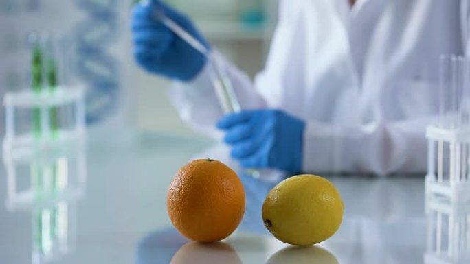 橙子和柠檬实验室表，从事香料提取物，芳香疗法的化学家