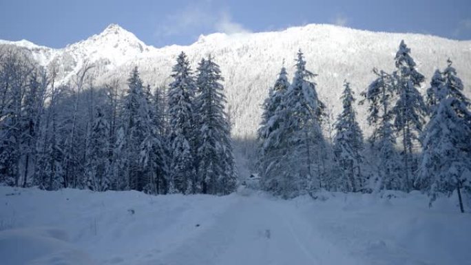 通往雪树线的道路的宽阔视野，后面有山