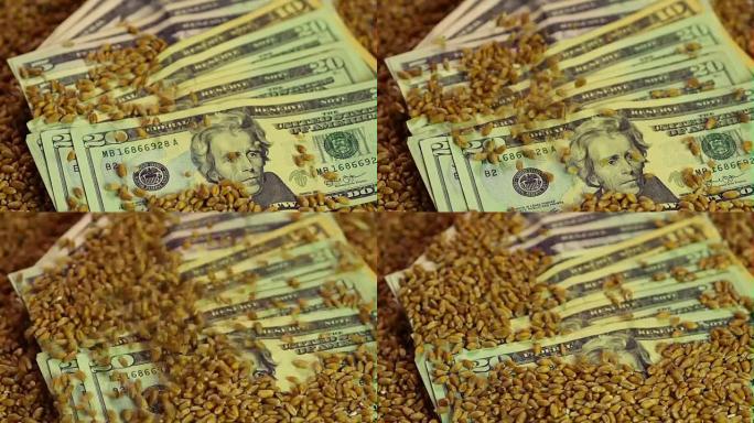 小麦种子减少了纸币，利润丰厚的业务，粮食出口