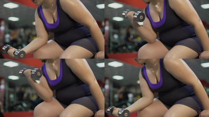 肥胖女孩进行哑铃运动，在健身房进行彻底训练以变得苗条