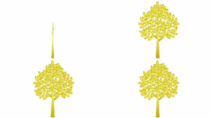 金树逐渐生长，叶子出现在树枝上。鲜花盛开。黑色符号。春天的概念。孤立在白色背景上的平面矢量插图。