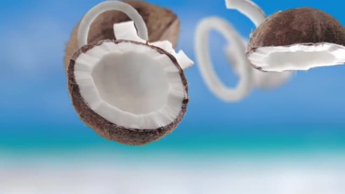 海滩热带夏季背景下的飞行椰子和椰子切片