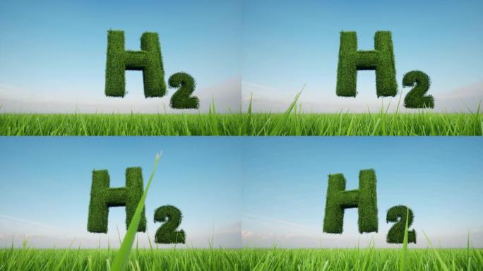氢气标志由绿色的草地在田野背景4k