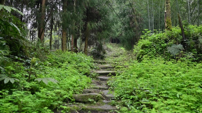 历史遗迹四川荥经凰仪二台子茶马古道