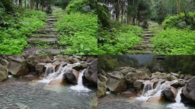 历史遗迹四川荥经凰仪二台子茶马古道