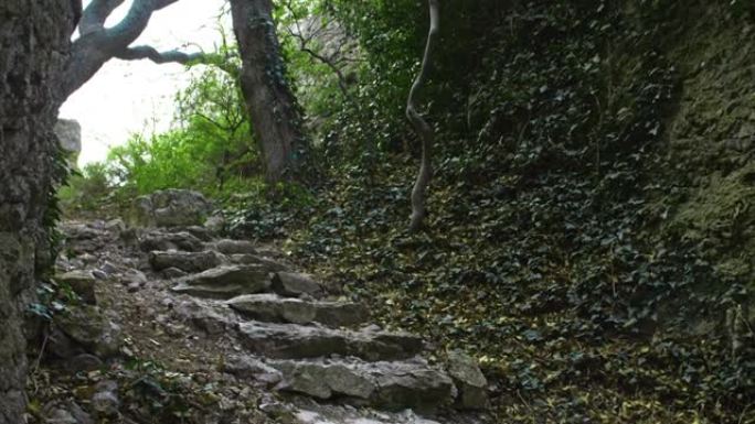 峡谷中的一个古老的石头楼梯，山坡上长满了常春藤和树木。旅游山区路线。徒步旅行