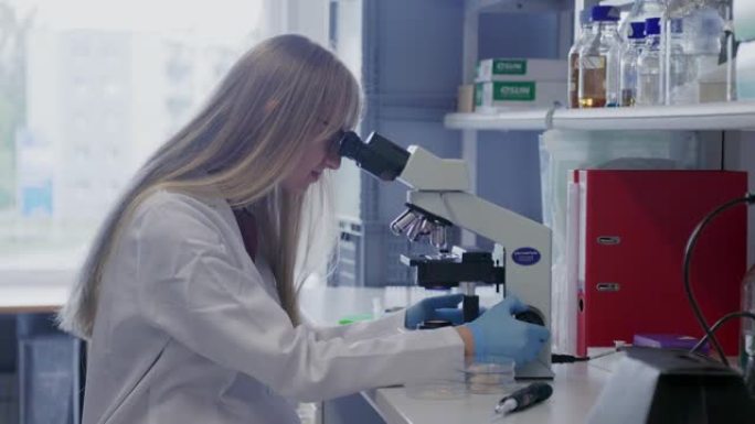 使用显微镜进行培养肉检查的女科学家