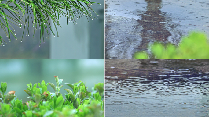 春天清明时节淅淅沥沥的小雨10个场景